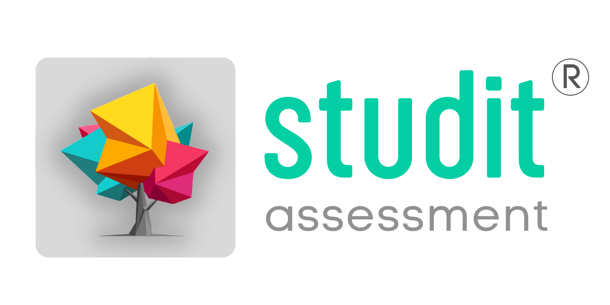 Studit Assessment